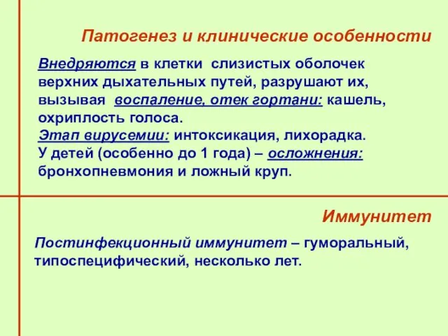 Внедряются в клетки слизистых оболочек верхних дыхательных путей, разрушают их,