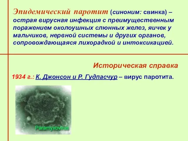 Эпидемический паротит (синоним: свинка) – острая вирусная инфекция с преимущественным