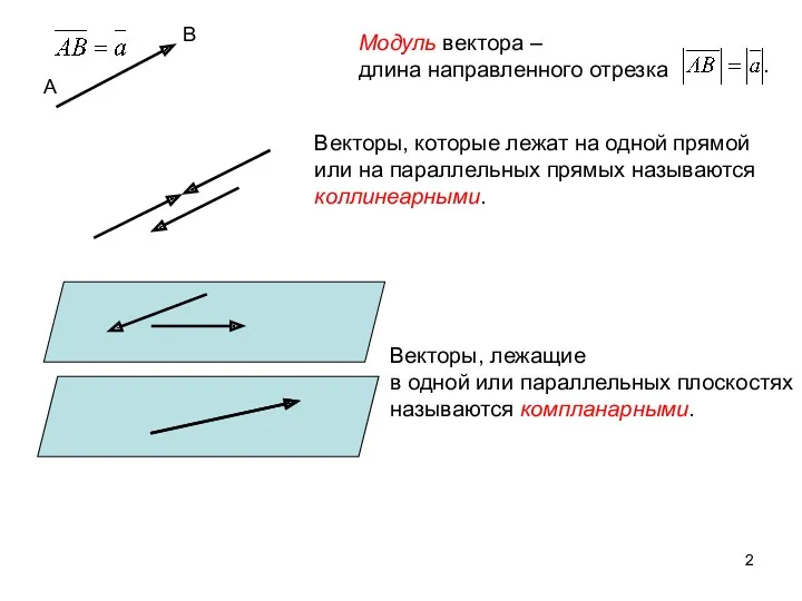 Векторы, которые лежат на одной прямой или на параллельных прямых