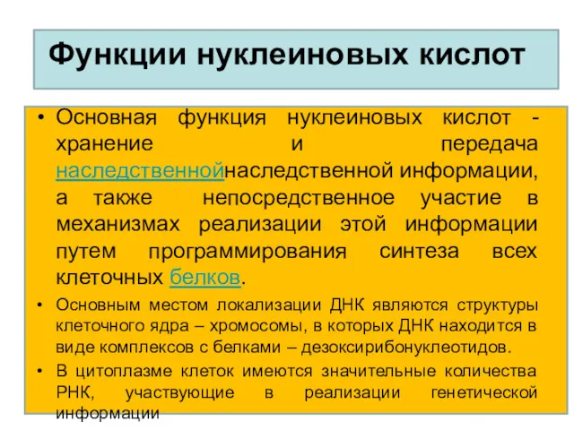 Функции нуклеиновых кислот Основная функция нуклеиновых кислот - хранение и