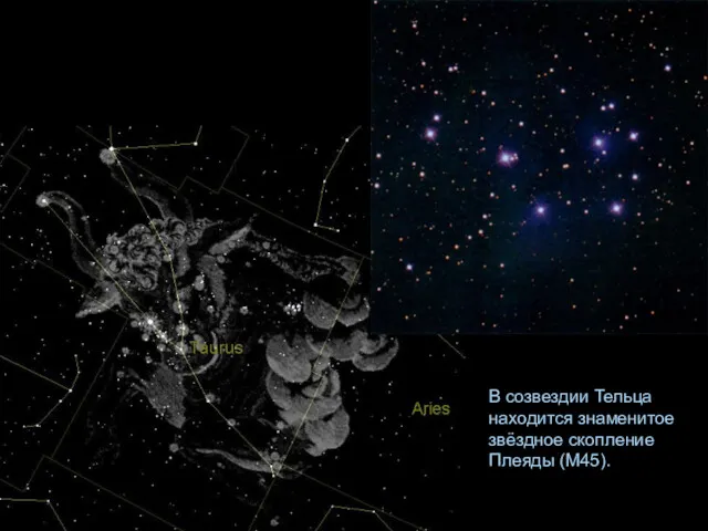 В созвездии Тельца находится знаменитое звёздное скопление Плеяды (М45).