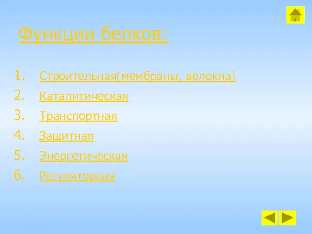 Функции белков: Строительная(мембраны, волокна) Каталитическая Транспортная Защитная Энергетическая Регуляторная