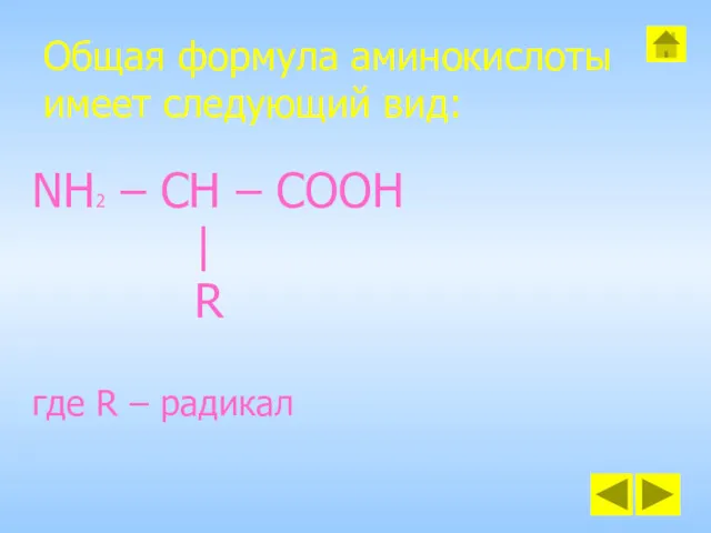 Общая формула аминокислоты имеет следующий вид: NH2 – CH –