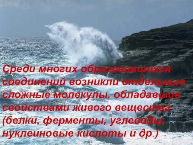 Среди многих образовавшихся соединений возникли отдельные сложные молекулы, обладавшие свойствами