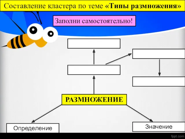 РАЗМНОЖЕНИЕ Определение Значение Составление кластера по теме «Типы размножения» Заполни самостоятельно!