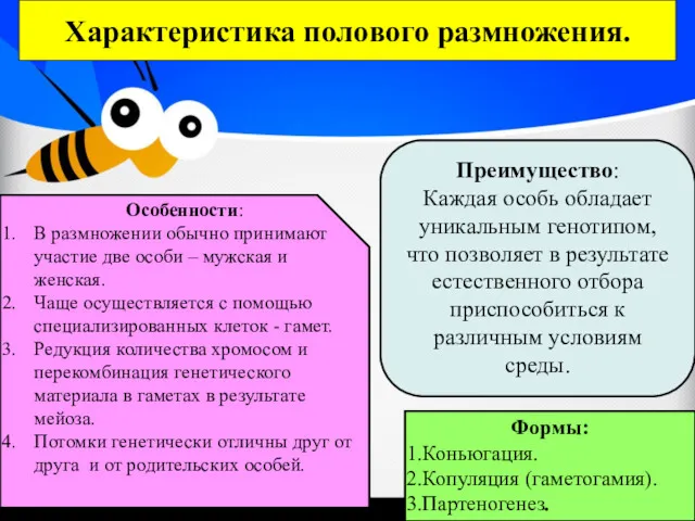 Особенности: В размножении обычно принимают участие две особи – мужская