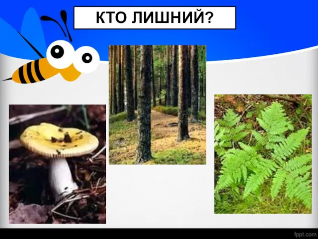 КТО ЛИШНИЙ?