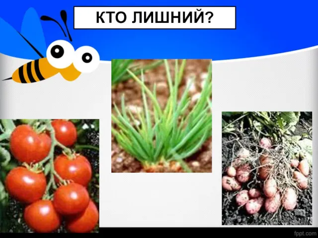 КТО ЛИШНИЙ?