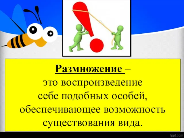 Размножение – это воспроизведение себе подобных особей, обеспечивающее возможность существования вида.