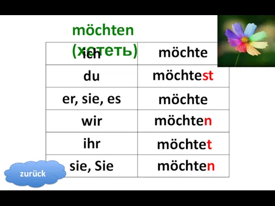 möchten (хотеть) möchte möchtest möchte möchten möchtet möchten zurück