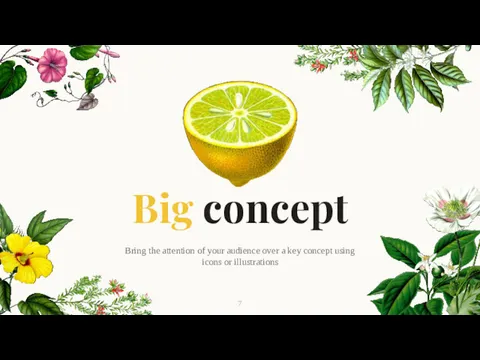 Big concept Bring the attention of your audience over a key concept using icons or illustrations