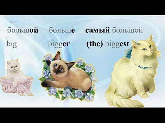 большой больше самый большой big bigger (the) biggest