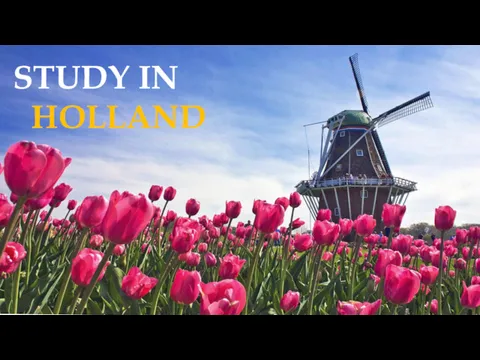 STUDY IN HOLLAND