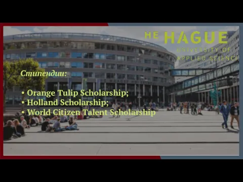 Стипендии: Orange Tulip Scholarship; Holland Scholarship; World Citizen Talent Scholarship