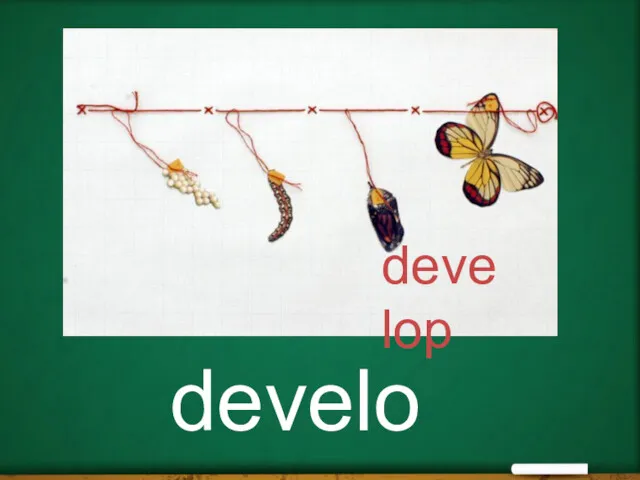 develop develop