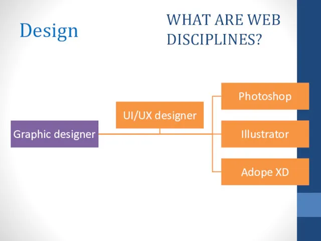 Design Graphic designer Photoshop Illustrator Adope XD UI/UX designer WHAT ARE WEB DISCIPLINES?