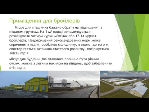 Приміщення для бройлерів Місце для пташника бажано обрати на підвищенні,