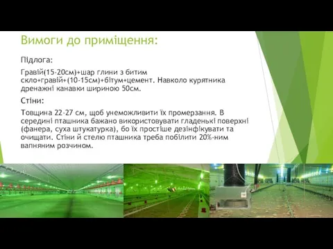 Вимоги до приміщення: Підлога: Гравій(15-20см)+шар глини з битим скло+гравій+(10-15см)+бітум+цемент. Навколо