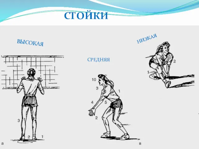 СТОЙКИ ВЫСОКАЯ НИЗКАЯ СРЕДНЯЯ