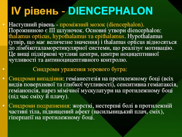 IV рівень - DIENCEPHALON Наступний рівень - проміжний мозок (diencephalon). Порожниною є III