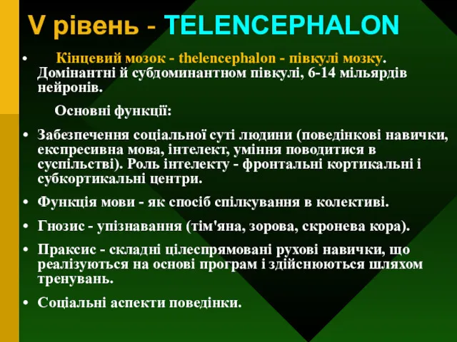V рівень - TELENCEPHALON Кінцевий мозок - thelencephalon - півкулі мозку. Домінантні й