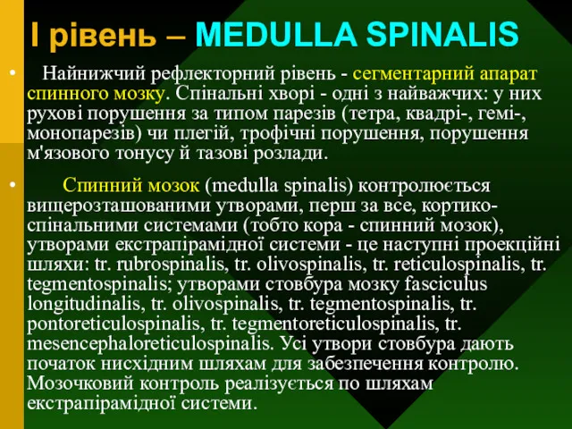 I рівень – MEDULLA SPINALIS Найнижчий рефлекторний рівень - сегментарний апарат спинного мозку.