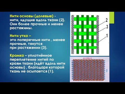 Нити основы (долевые) - нити, идущие вдоль ткани (2). Они