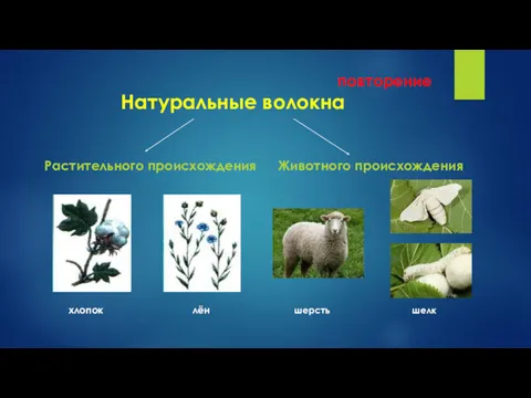 повторение Натуральные волокна Растительного происхождения хлопок лён Животного происхождения шерсть шелк