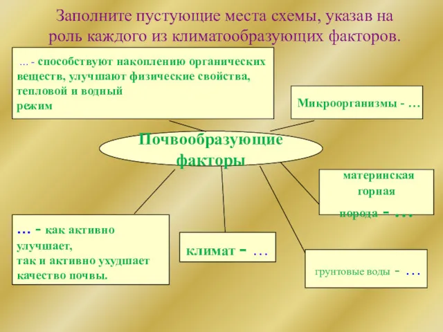 Почвообразующие факторы … - способствуют накоплению органических веществ, улучшают физические