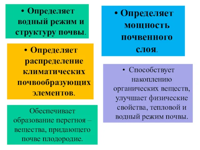 Определяет водный режим и структуру почвы. Определяет мощность почвенного слоя.