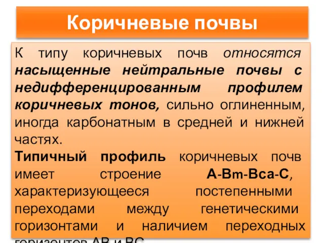 Коричневые почвы К типу коричневых почв относятся насыщенные нейтральные почвы