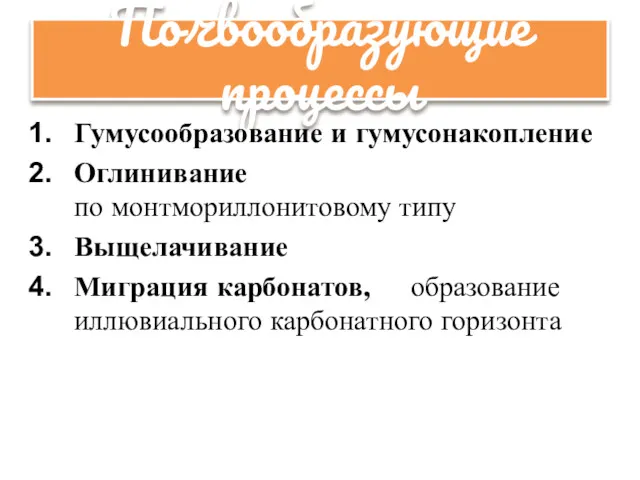 Почвообразующие процессы Гумусообразование и гумусонакопление Оглинивание по монтмориллонитовому типу Выщелачивание Миграция карбонатов, образование иллювиального карбонатного горизонта