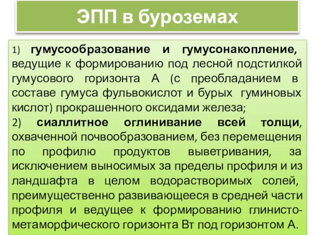 ЭПП в буроземах 1) гумусообразование и гумусонакопление, ведущие к формированию