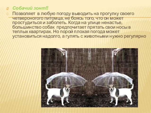 Собачий зонт!! Позволяет в любую погоду выводить на прогулку своего