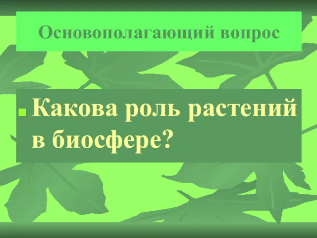 Основополагающий вопрос Какова роль растений в биосфере?