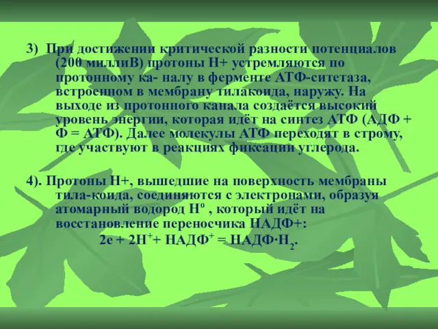 3) При достижении критической разности потенциалов (200 миллиВ) протоны Н+