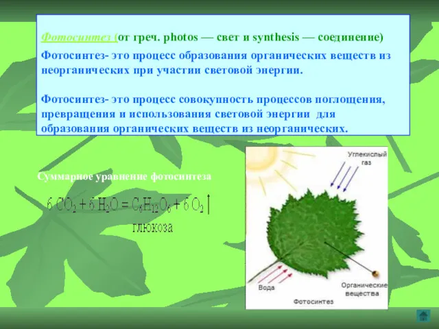 Фотосинтез (от греч. photos — свет и synthesis — соединение)
