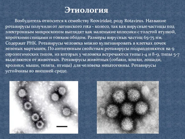 Этиология Возбудитель относится к семейству Reoviridae, роду Rotavirus. Название ротавирусы