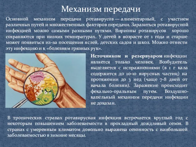 Механизм передачи Основной механизм передачи ротавирусов — алиментарный, с участием