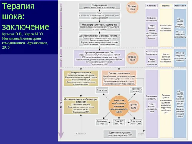 Терапия шока: заключение Кузьков В.В., Киров М.Ю. Инвазивный мониторинг гемодинамики. Архангельск, 2015.