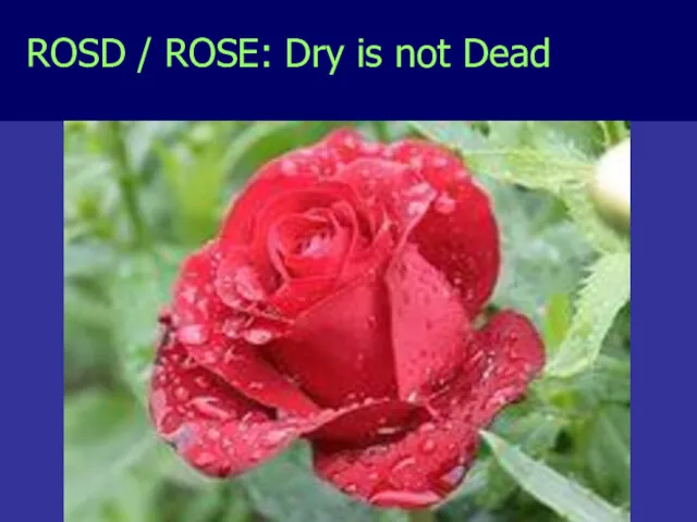 ROSD / ROSE: Dry is not Dead