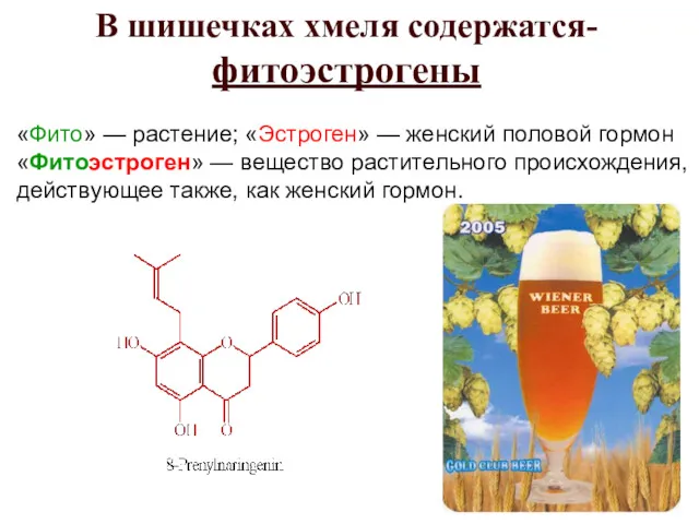 «Фито» — растение; «Эстроген» — женский половой гормон «Фитоэстроген» —