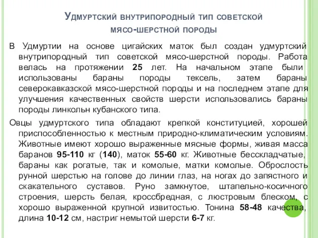 Удмуртский внутрипородный тип советской мясо-шерстной породы В Удмуртии на основе