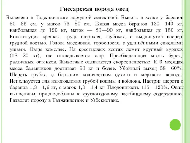 Гиссарская порода овец Выведена в Таджикистане народной селекцией. Высота в