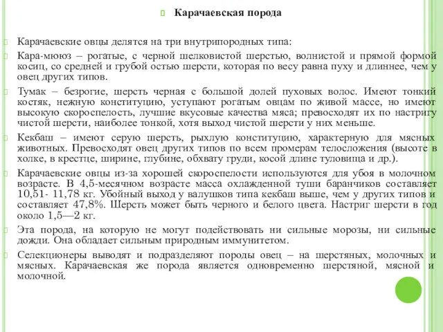 Карачаевская порода Карачаевские овцы делятся на три внутрипородных типа: Кара-мююз