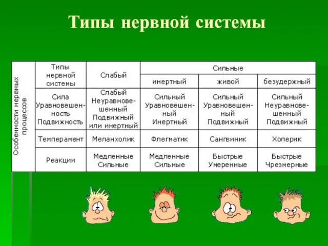 Типы нервной системы