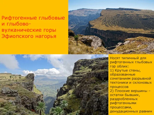 Рифтогенные глыбовые и глыбово-вулканические горы Эфиопского нагорья Носят типичный для рифтогенных глыбовых гор
