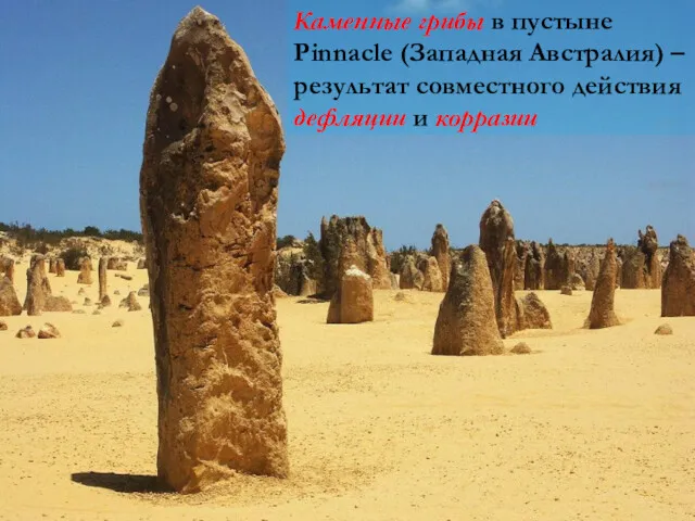 Каменные грибы в пустыне Pinnacle (Западная Австралия) – результат совместного действия дефляции и корразии