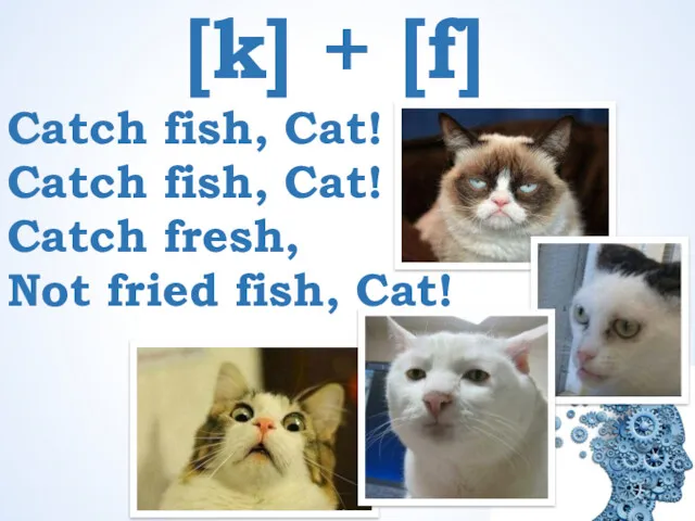 [k] + [f] Catch fish, Cat! Catch fish, Cat! Catch fresh, Not fried fish, Cat!