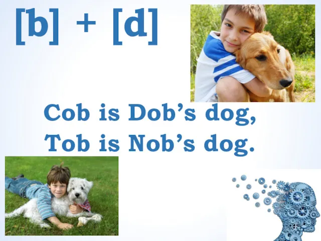 [b] + [d] Cob is Dob’s dog, Tob is Nob’s dog.